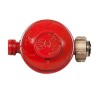 Kit connexion gaz Détendeur propane 37 mbar +Tuyau gaz souple 1.50m + embout tétine