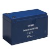Batterie LITHIUM 12V - 8A pour PulvérisateurELITE 16L Iris