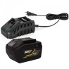 Ponceuse Excentrique Orbitale 20V EGO LI 125mm+ Batterie lithium 6AH + Chargeur Rapide VITO