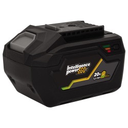 Batterie Lithium EGO LI 6Ah...
