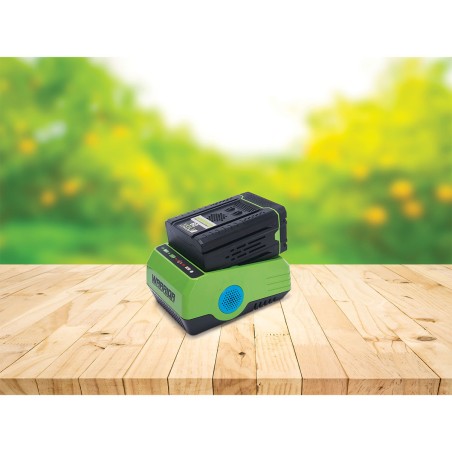 Chargeur de Batterie lithium 60V Charge rapide WARRIOR