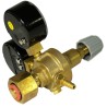 Régulateur de pression avec Manomètre pour gaz Argon /co2 Inerte Soudage MIG/MAG TECNOWELD