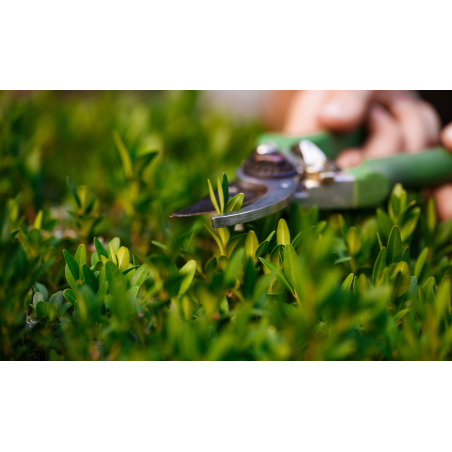 Coupe branches Lame Courbée Acier forgé VITO Ebrancheur 2 mains Bras Télescopiques Longueurs 62 - 94 cm Sécateur