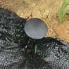 Lot de 10 Piquets fixation toile de paillage 20 cm noirs Plastique rigide