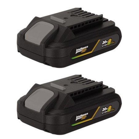 Pack 2 Batteries Lithium 20V 2Ah + Chargeur double Gamme sans fil EGO LI VITO