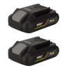 Pack 2 Batteries Lithium 20V 2Ah + Chargeur double Gamme sans fil EGO LI VITO