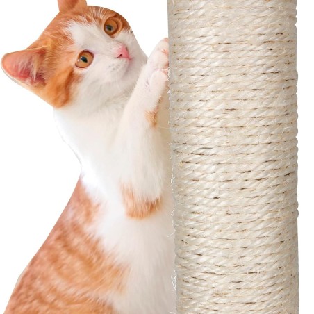 Arbre à Chat Hauteur 62 cm 3 Plateformes perchées Griffoir Sisal Corde de Jeu Tour à griffer Perchoir