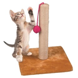 Griffoir pour Chat avec...