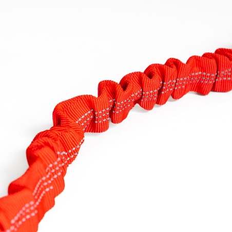 Harnais et Laisse pour chien 190 cm Ceinture réglable 55 à 90 cm Longe Elastique Balade Jogging KZ GARDEN