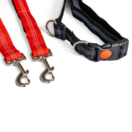 Harnais et Laisse pour chien 190 cm Ceinture réglable 55 à 90 cm Longe Elastique Balade Jogging KZ GARDEN