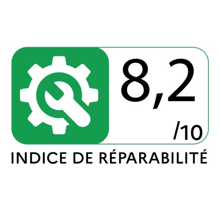 Tondeuse à gazon 20V - 2 Batteries lithium 2.0Ah Chargeur double Bac 30L Gazon 300m2 VITO