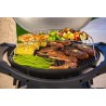 Barbecue à Gaz portable 5200W Grille de cuisson fonte émaillée 58 x 42.5 cm 2 Bruleurs PIT BOSS