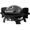 Barbecue à Gaz portable 5200W Grille de cuisson fonte émaillée 58 x 42.5 cm 2 Bruleurs PIT BOSS