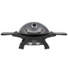 Barbecue à Gaz portable 5200W Grille de cuisson fonte émaillée 58 x 42.5 cm 2 Bruleurs PIT BOSS