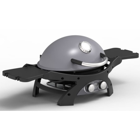 Barbecue à Gaz portable 5200W Grille de cuisson fonte émaillée 58 x 42.5 cm 2 Bruleurs PIT BOSS