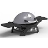 Barbecue à Gaz portable 5200W Grille de cuisson fonte émaillée 58 x 42.5 cm 2 Bruleurs PIT BOSS