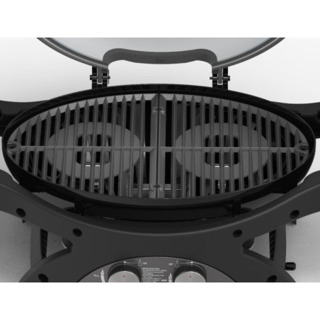 Barbecue à Gaz portable 5200W Grille de cuisson fonte émaillée 58 x 42.5 cm 2 Bruleurs PIT BOSS