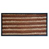 Tapis d'extérieur Paillasson Fibre de coco 50 x 100 cm Rayé Marron/Beige Épaisseur 6mm INTEC