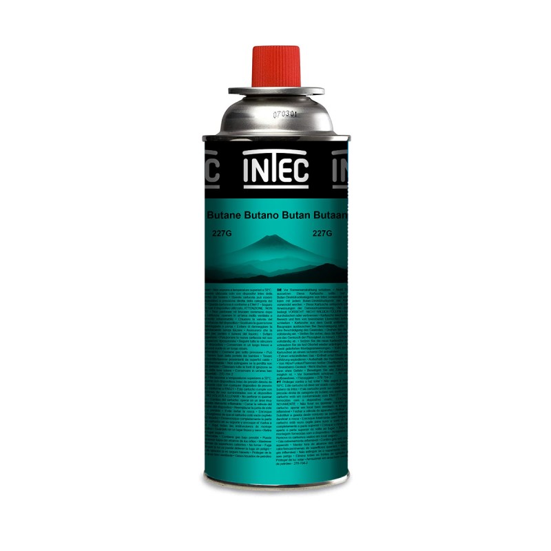 Bouteille de gaz Butane 227gr Cartouche de gaz Camping Compacte Encliquetable Réchaud Desherbeur INTEC