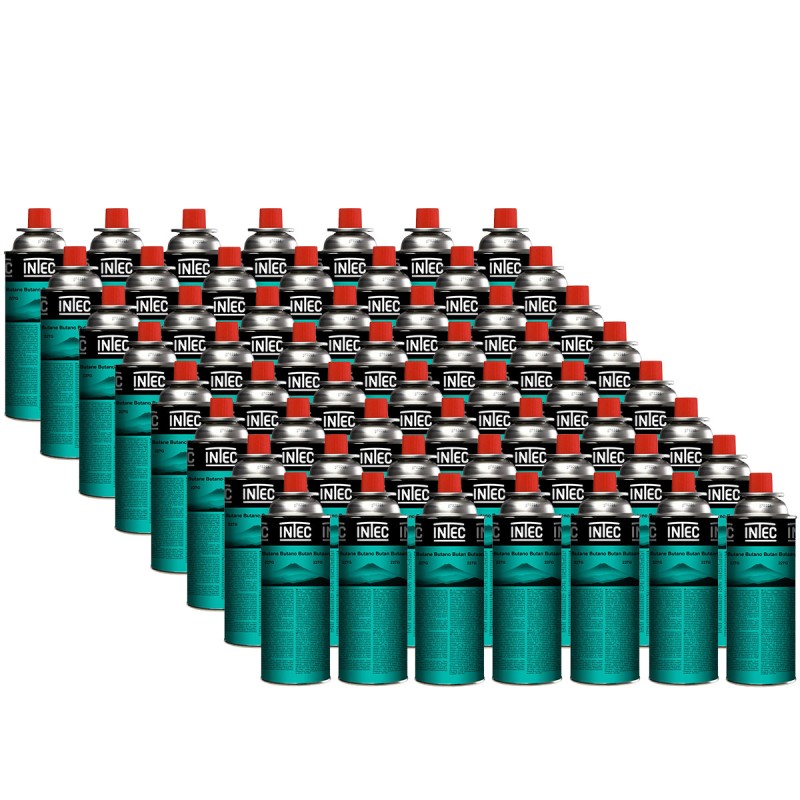 pack cartouche gaz intec intex butane