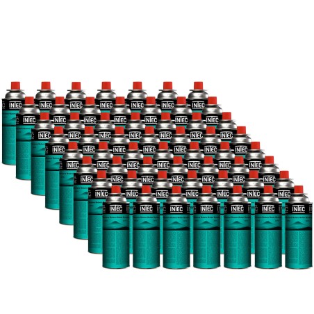 pack cartouche gaz intec intex butane