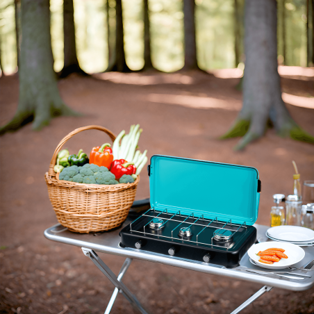 Plaque de cuisson gaz 3 feux 3000W Table de cuisson portable + Tuyau butane/propane INTEC