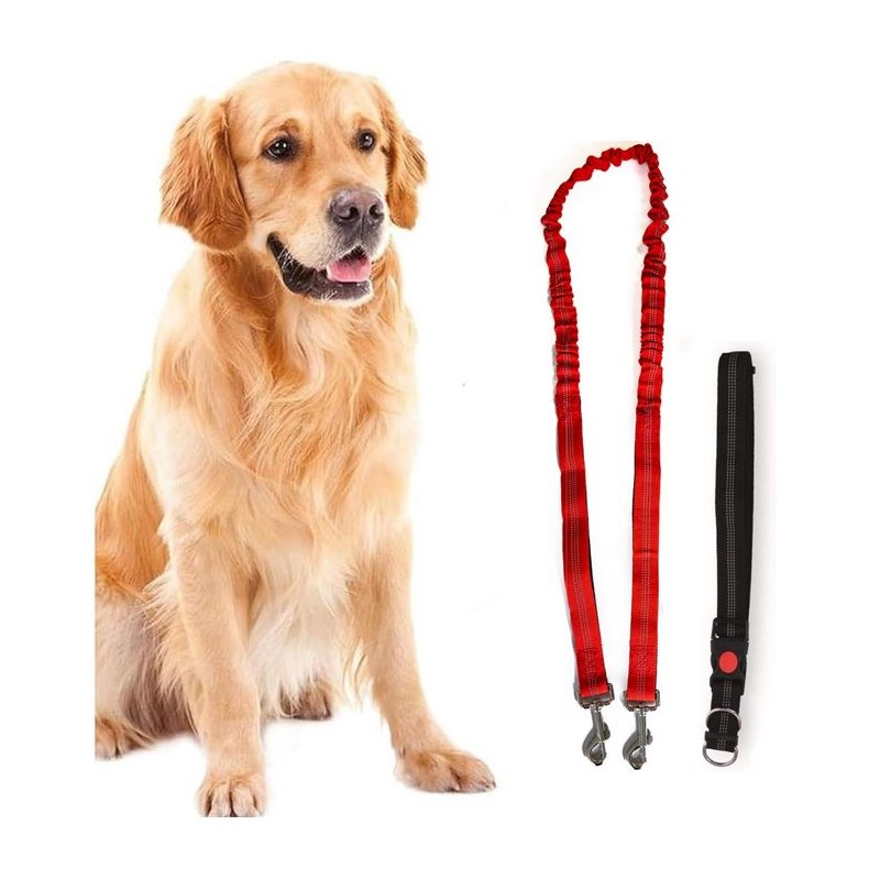 Harnais et Laisse pour chien 190 cm Ceinture réglable 55 à 90 cm Longe Elastique Balade Jogging KZ GARDEN
