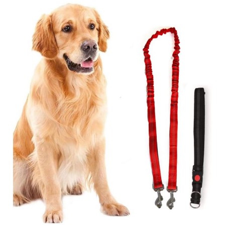 Harnais et Laisse pour chien 190 cm Ceinture réglable 55 à 90 cm Longe Elastique Balade Jogging KZ GARDEN