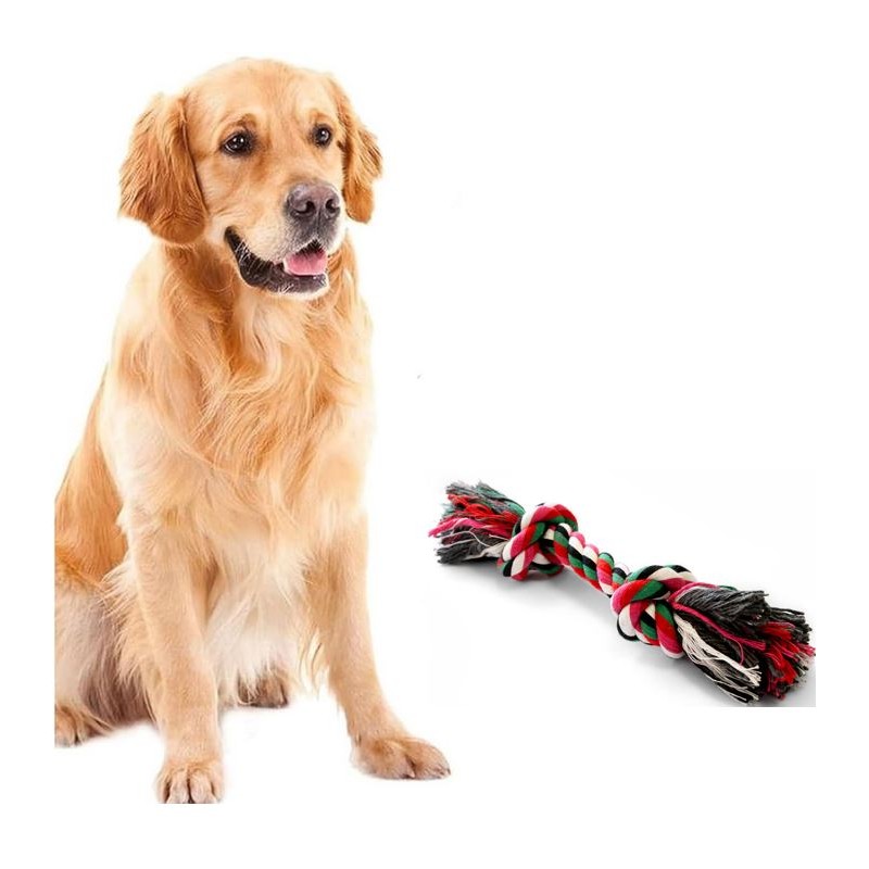 Jouet pour Chien Corde Coton Jeu dentaire 20 cm Os à Mâcher Hygiène Bucco-dentaire Nœuds