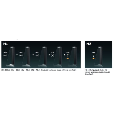 Lot de 2 bornes de jardin Eclairage LED Solaire Extérieur 100 Lm Autonomie 3 nuits IP54 ASLO