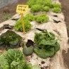 Toile de paillage Agricole Papier Kraft 1.20 x 100m Autodégradable Paillage pour Jardin Anti mauvaises herbes 100% Cellulose
