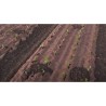 Toile de paillage Papier Kraft 1.20 x 300m Autodégradable Paillage pour Jardin Anti mauvaises herbes 100% Cellulose