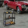 Chariot de Rangement 3 Étagères Porte-Outils - Desserte à Roulettes Charge max 120 kg INTEC