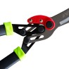 Cisaille de jardin avec levier Démultiplicateur Lame 27.5cm – Sécateur Jardin Coupe Arbustes, Haies, Branches VITO