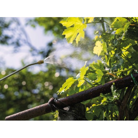 Pulvérisateur Électrique 5L, Batterie Lithium 3,7 V / 2,6 Ah Pulvérisateur Jardin Végétaux + Lance Télescopique STANLEY
