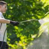 Pulvérisateur Jardin 6L + Lance Pulvérisateur à Pression Jardin Black & Decker