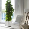 Pot de Fleur Carré Gris 50L 40x40cm - Jardinière Extérieure Balcon Terrasse Jardin ARTPLAST
