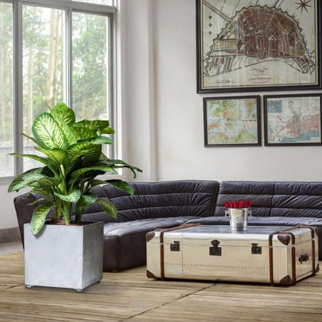 Pot de Fleur Carré Gris 50L 40x40cm - Jardinière Extérieure Balcon Terrasse Jardin ARTPLAST
