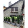Pot de Fleur Carré Gris 50L 40x40cm - Jardinière Extérieure Balcon Terrasse Jardin ARTPLAST