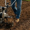 Motoculteur thermique 7CV 4T 202Cm3 Silencieux et sans vibrations Jeux de fraises + 2 disques Lamborghini