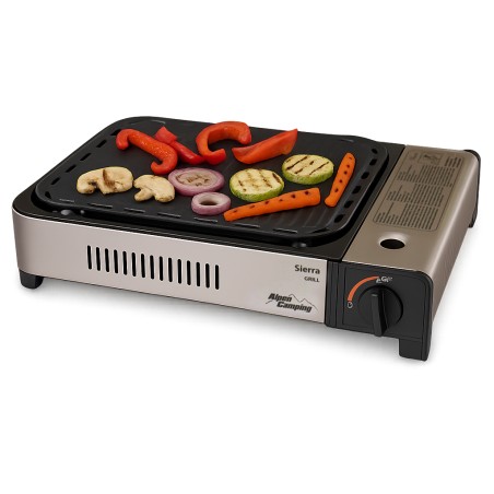 Plancha à gaz Barbecue grill 2100W Cuisson 30 x 24cm Piezo + 4 cartouches gaz + Mallette ALPEN