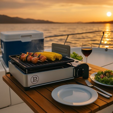 Barbecue à gaz Portable Grill 1900W Allumage Piezo + Récupérateur de graisse amovible & lavable Camping COOK160