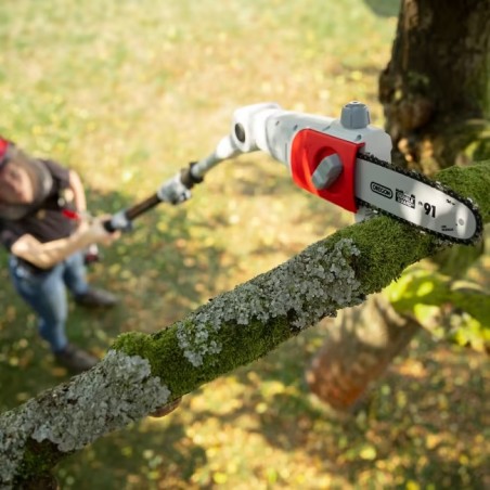 Elagueuse sans fil 20V Lame 20cm Guide Oregon - Batterie lithium 2.0Ah Chargeur 20V Perche Télescopique jusqu'à 4m IKRA