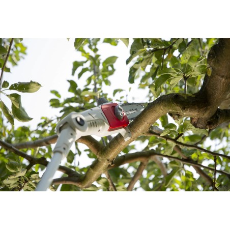 Elagueuse sans fil 20V Lame 20cm Guide Oregon - Batterie lithium 2.0Ah Chargeur 20V Perche Télescopique jusqu'à 4m IKRA
