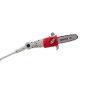 Elagueuse sans fil 20V Lame 20cm Guide Oregon - Batterie lithium 2.0Ah Chargeur 20V Perche Télescopique jusqu'à 4m IKRA