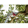 Elagueuse sans fil 20V Lame 20cm Guide Oregon - Batterie lithium 2.0Ah Chargeur 20V Perche Télescopique jusqu'à 4m IKRA