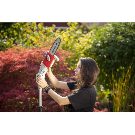 Elagueuse sans fil 20V Lame 20cm Guide Oregon - Batterie lithium 2.0Ah Chargeur 20V Perche Télescopique jusqu'à 4m IKRA