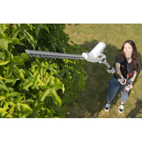 Taille haie sans fil 20V - Lame de 40 cm Batterie lithium 2.0Ah + Chargeur 20V - Perche télescopique jusqu'à 4m IKRA