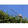 Taille Haie Télescopique filaire 600W - Lame de coupe 59 cm Coupe 51 cm Taille Haie sur perche réglable 1.95 - 2.40 m IKRA