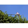 Taille Haie Télescopique filaire 600W - Lame de coupe 59 cm Coupe 51 cm Taille Haie sur perche réglable 1.95 - 2.40 m IKRA